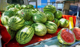 河北吃瓜爆料事件真相,真相与背后的故事